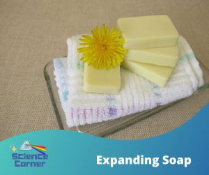 Online class for kids Preschool.