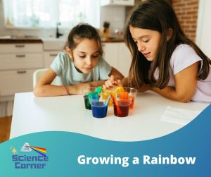 Preschool French Classes