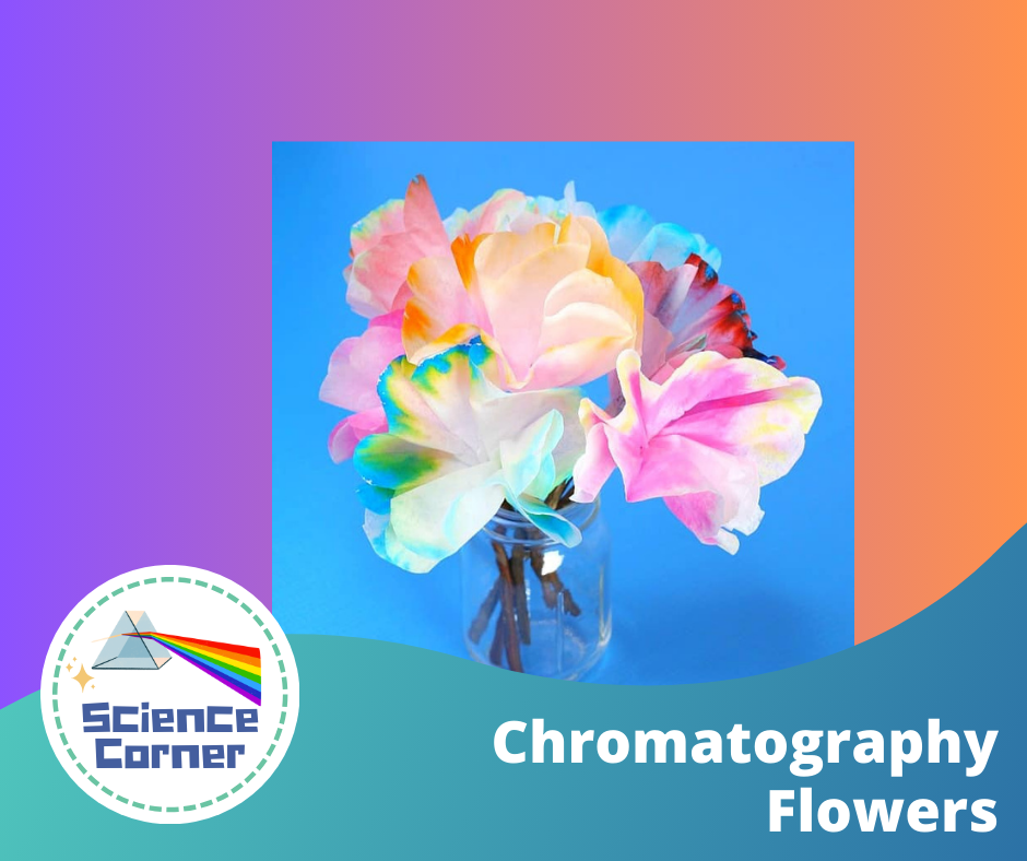 Let's draw sample drawing. Online art class for preschool